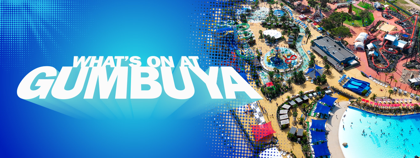 680878b6ce59f314ca0ca068 what's on at gumbuya desktop