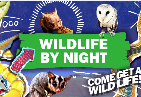 Screenshot 2025 10 16 at 5.05.29 pm