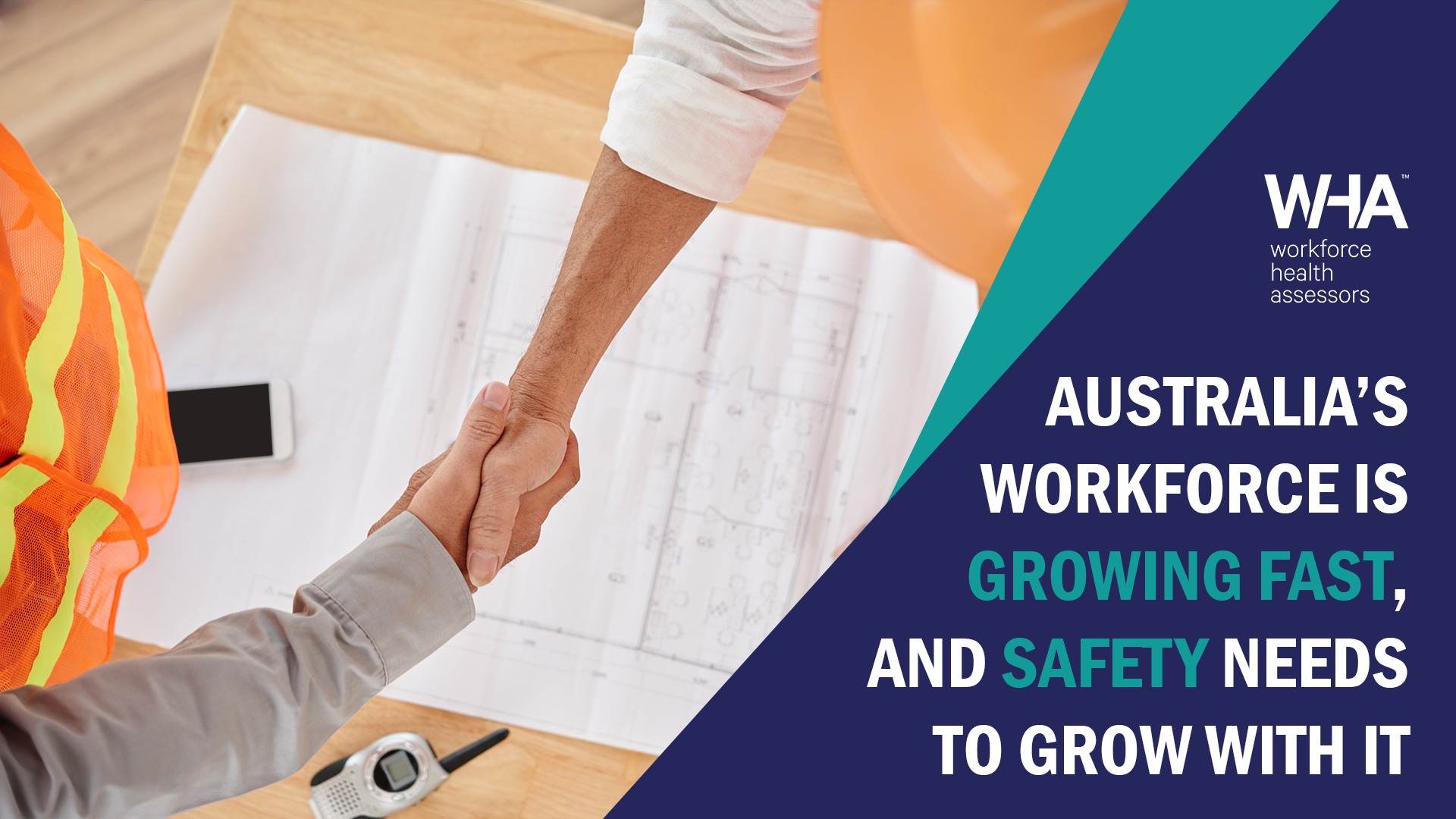 workforce health assessors - some projection