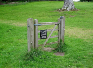 Social media ban in australia under 16